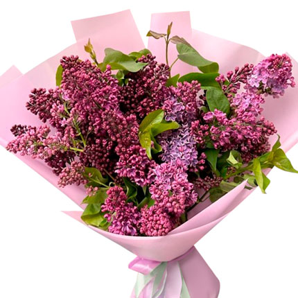 Bouquet "9 branches of lilac" - delivery in Ukraine