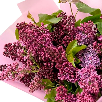 Bouquet "9 branches of lilac" - order with delivery