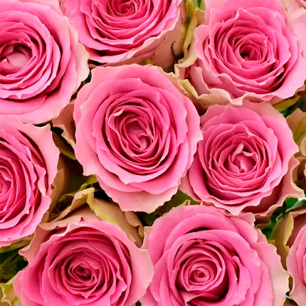 25 roses Time Square (Kenya) - order with delivery