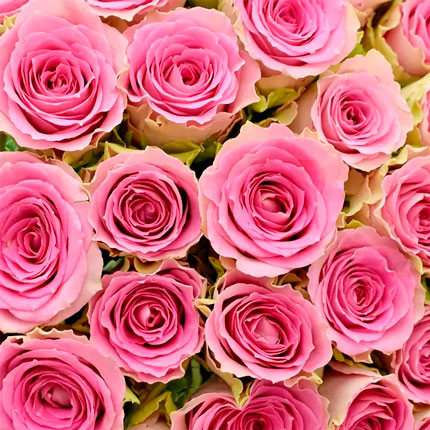 51 roses Time Square (Kenya) - order with delivery