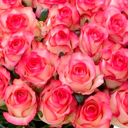 Букет "51 роза Джумилия" – заказать с доставкой