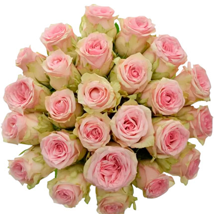 21 роза Sudoku (Кения) – доставка по Украине