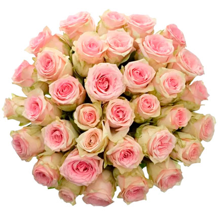 35 Sudoku roses (Kenya) – delivery in Ukraine