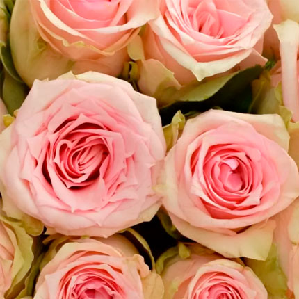 35 троянд Sudoku (Кенія) - замовити з доставкою