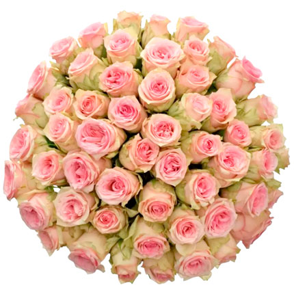 51 Sudoku roses (Kenya) - delivery in Ukraine
