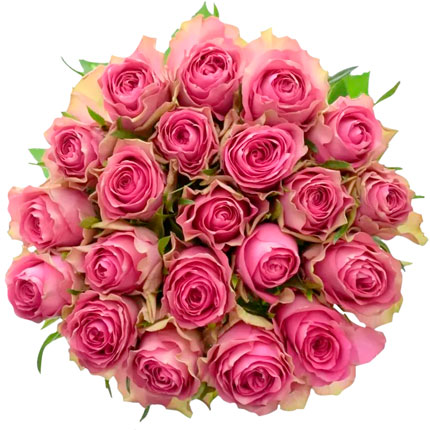 21 рожева троянда Shiary (Кенія) - доставка по Україні