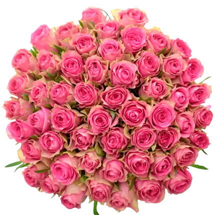 51 рожева троянда Shiary (Кенія) – доставка по Україні
