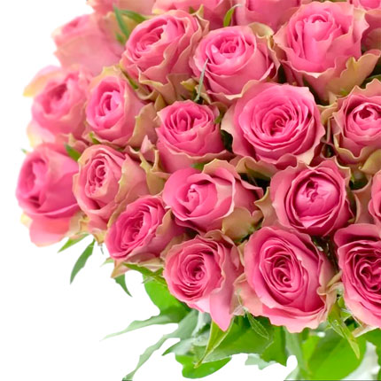 51 розовая роза Shiary (Кения) - заказать с доставкой