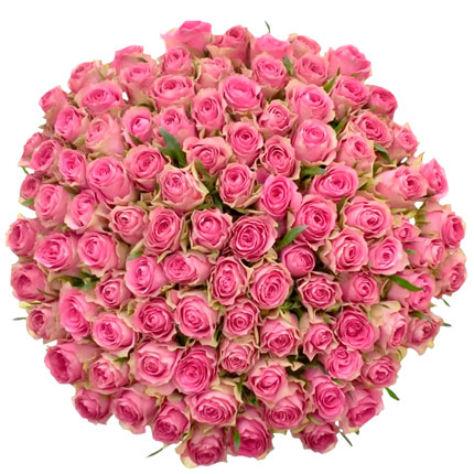 101 розовая роза Shiary (Кения) - доставка по Украине