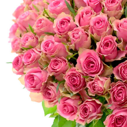 101 розовая роза Shiary (Кения) - заказать с доставкой