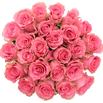 21 роза Lovely Rhodos (Кения) - доставка по Украине