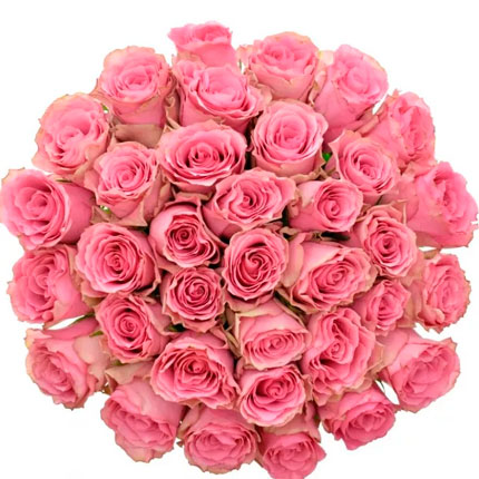 35 роз Lovely Rhodos (Кения) - доставка по Украине