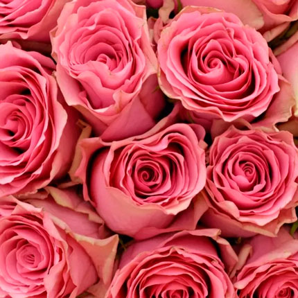 35 троянд Lovely Rhodos (Кенія) – замовити з доставкою