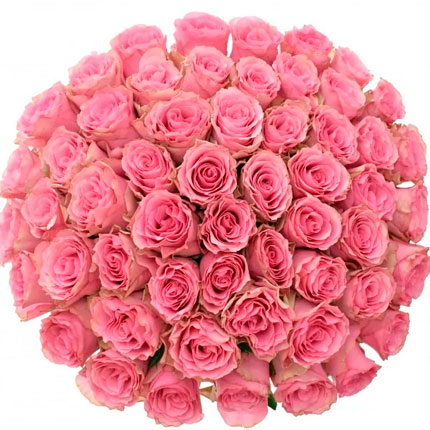 51 роза Lovely Rhodos (Кения) - доставка по Украине