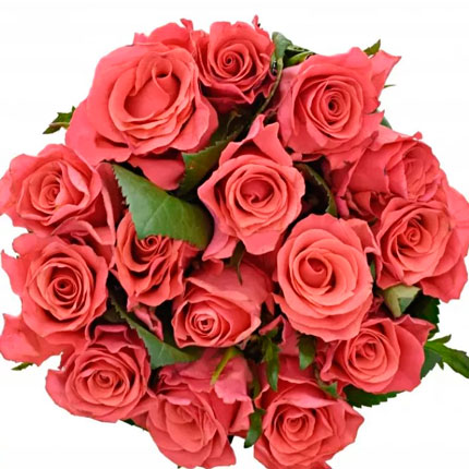 15 троянд Pink Tacazzi (Кенія) - доставка по Україні