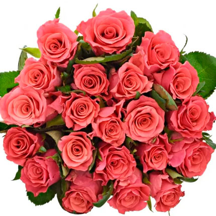 21 Pink Tacazzi roses (Kenya) - delivery in Ukraine