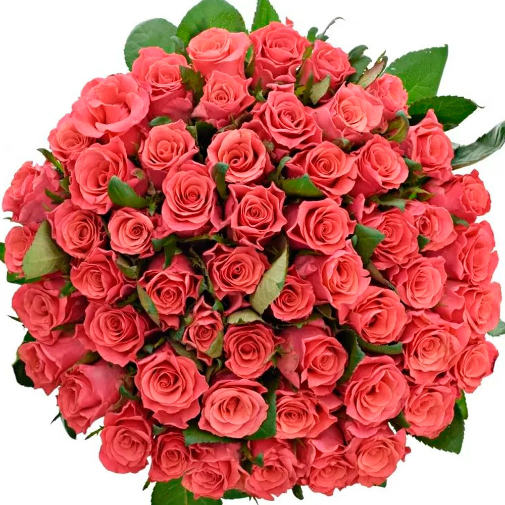 51 Pink Tacazzi roses (Kenya) - delivery in Ukraine