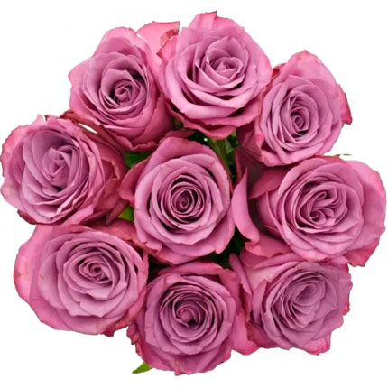 9 roses Maritim (Kenya) – delivery in Ukraine