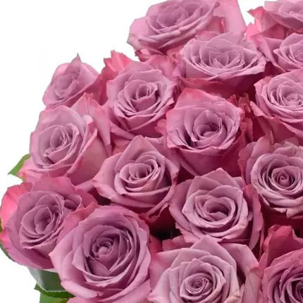21 роза Maritim (Кения) - заказать с доставкой
