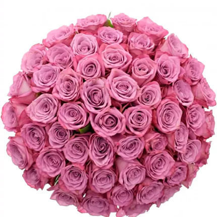 51 роза Maritim (Кения) – доставка по Украине