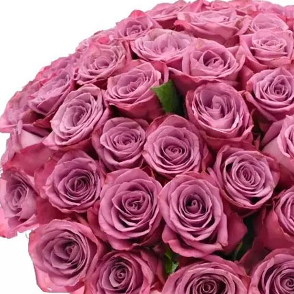 51 роза Maritim (Кения) - заказать с доставкой