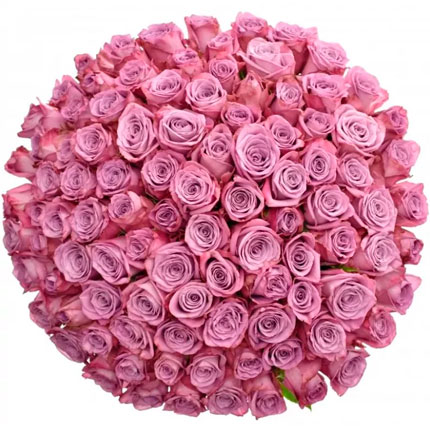 101 roses Maritim (Kenya) – delivery in Ukraine