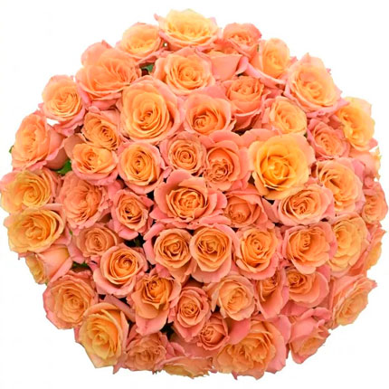 51 roses Miss Piggy (Kenya) - delivery in Ukraine
