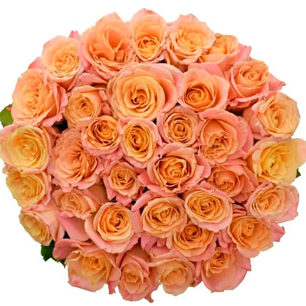 35 роз Мисс Пигги (Кения) – доставка по Украине