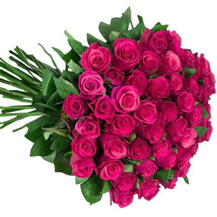 51 роза Cherry-O (Кения) – доставка по Украине