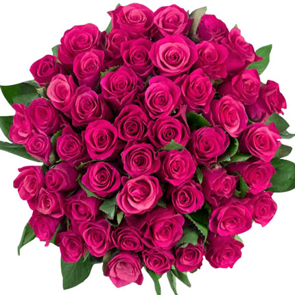 51 роза Cherry-O (Кения) – заказать с доставкой