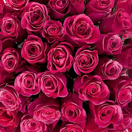 35 троянд Cherry-O (Кенія) – доставка по Україні