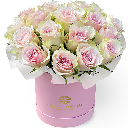 Цветы в коробке "19 роз Pink Athena" - заказать с доставкой