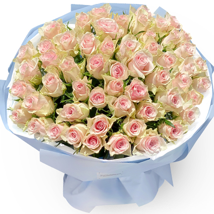 51 роза Pink Athena - доставка по Украине