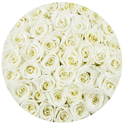 Цветы в коробке "101 белая роза"! – доставка по Украине