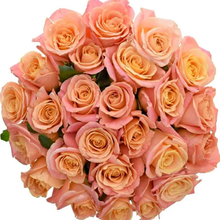 Букет " 21 роза Мисс Пигги" - доставка по Украине