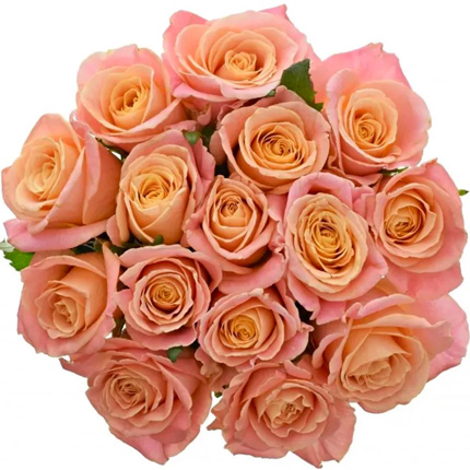 Букет "15 роз Мисс Пигги" – доставка по Украине