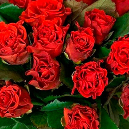 Букет "29 красных роз" - заказать с доставкой