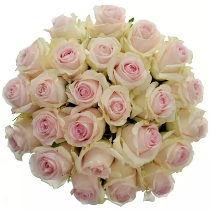Букет “21 троянда Revival Sweet” - доставка по Україні