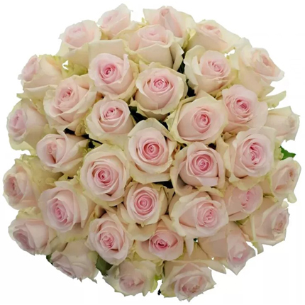Букет “35 троянда Revival Sweet” - доставка по Україні