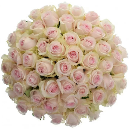 Букет "51 роза Revival Sweet" - доставка по Украине