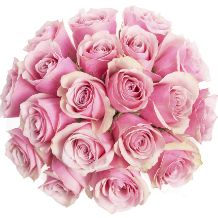 Flowers in a box "19 roses Athena Royale" – order with delivery