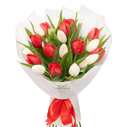 Букет "21 белый и красный тюльпан" – заказать с доставкой