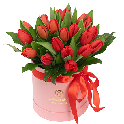 Квіти у коробці "19 червоних тюльпанів" – замовити з доставкою