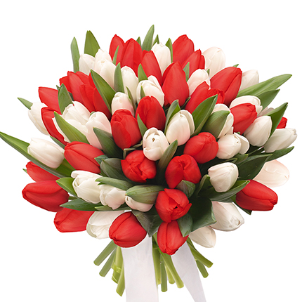 Букет "51 білий та червоний тюльпан" – замовити з доставкою