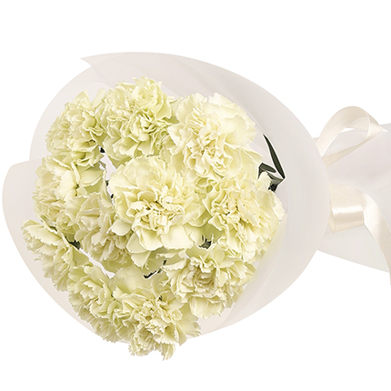 "Galatea" bouquet of 11 white carnations – order with delivery
