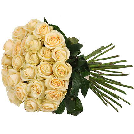Букет з 25 кремових троянд – замовити з доставкою