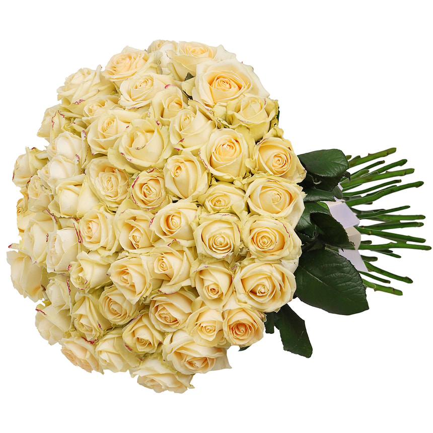 51 cream roses bouquet – order with delivery