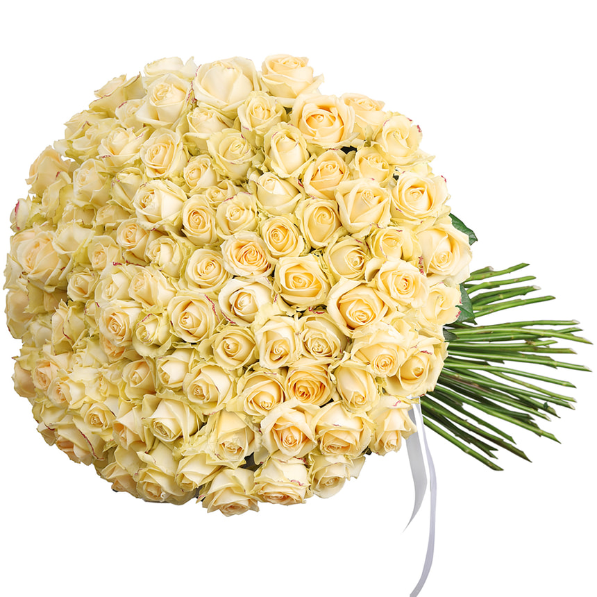 101 cream roses bouquet – order with delivery