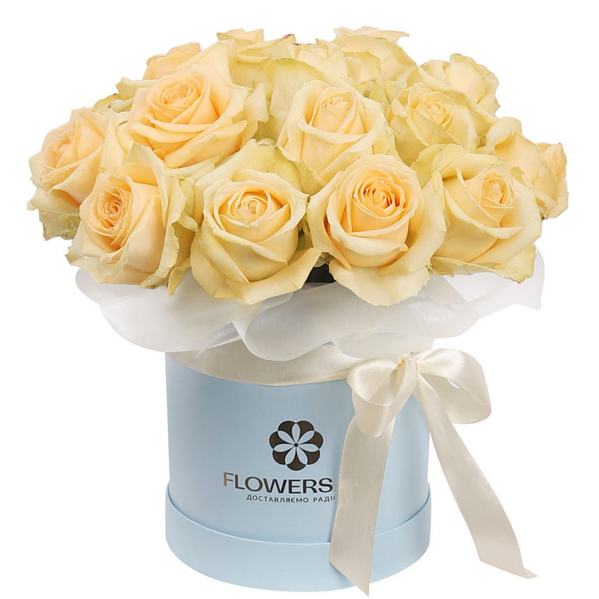 Квіти в коробці "19 кремових троянд" – замовити з доставкою