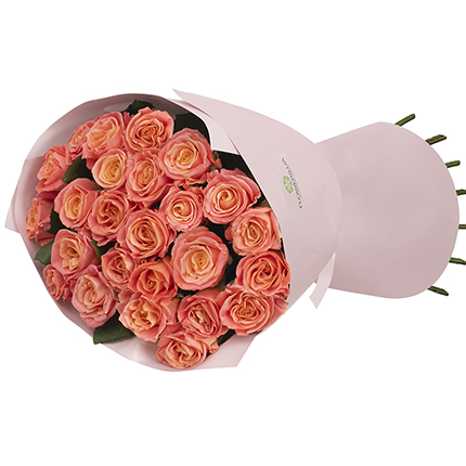 “25 Miss Piggy roses” mono-bouquet – order with delivery